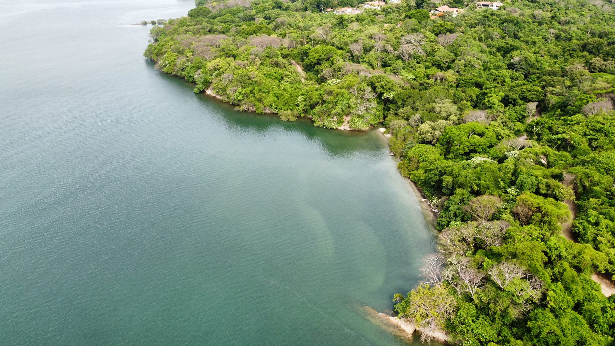 Isla Venado + Isla Chira + Playa Roma